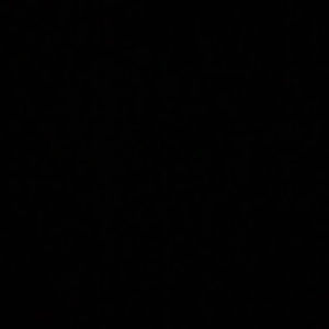 Meet your Posher, Tyree'